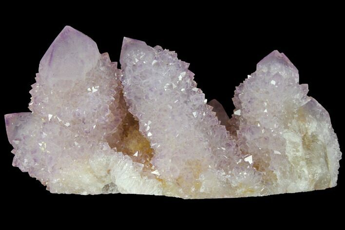 Cactus Quartz (Amethyst) Crystal Cluster - South Africa #132507